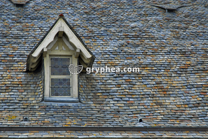 Toit schiste Mt St Michel - gryphea.com